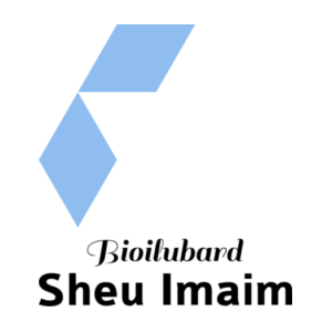 logo preview